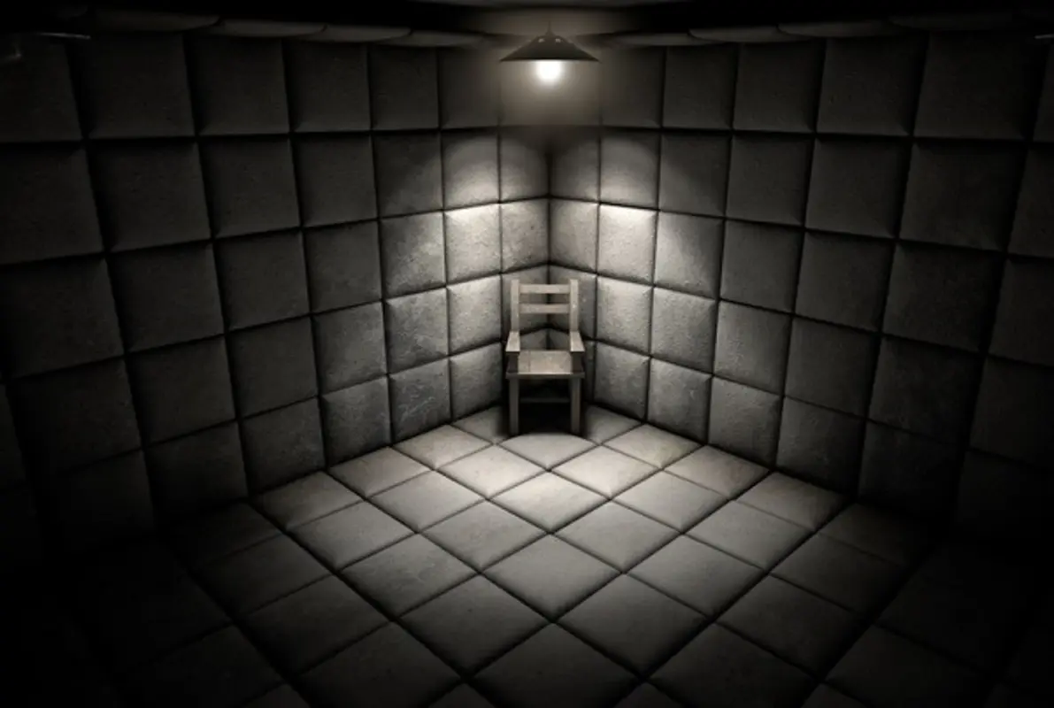 The Asylum