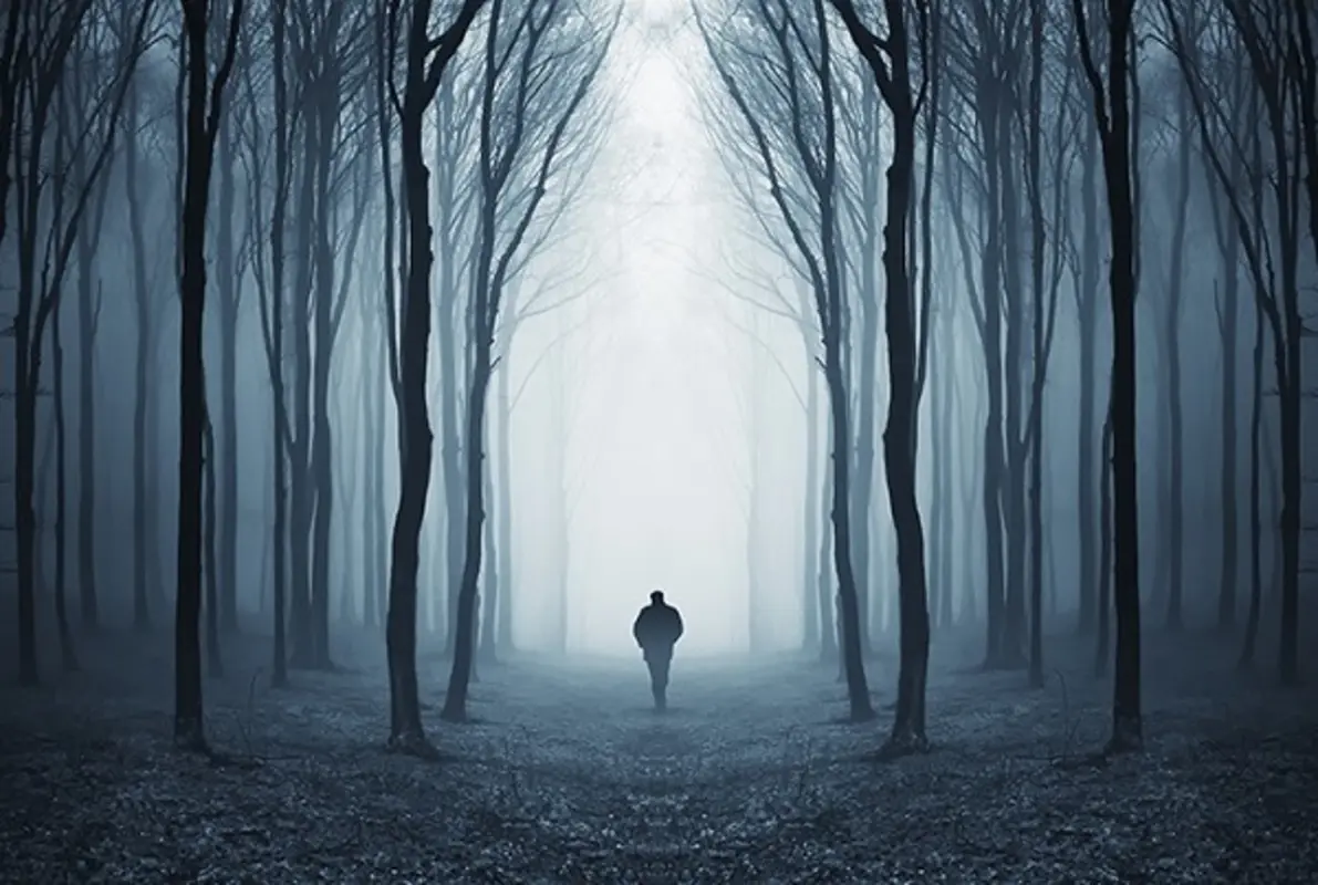 Escape the Forest