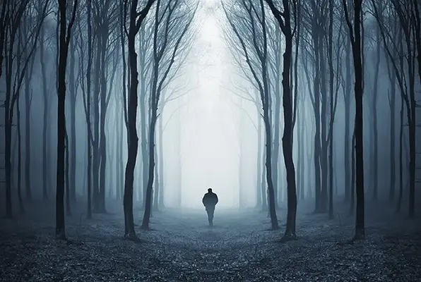 Escape the Forest (Amazing Escape Room) Escape Room