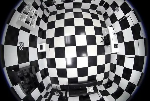 Black & White (Brainstorm Escape Games) Escape Room