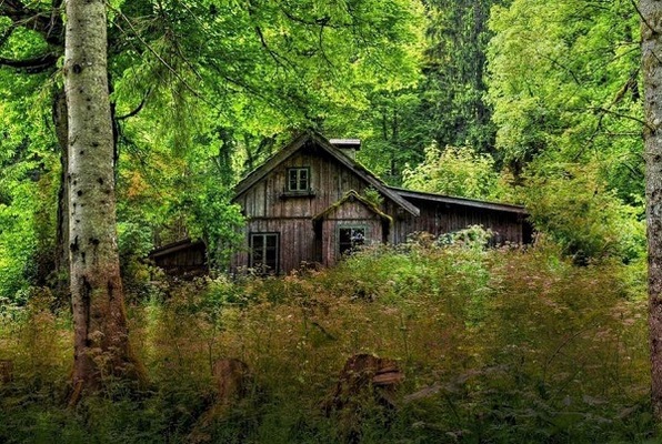 The Cannibal's Cabin (The Greatest Escape) Escape Room