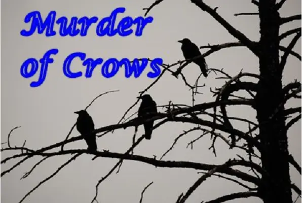 Murder of Crows