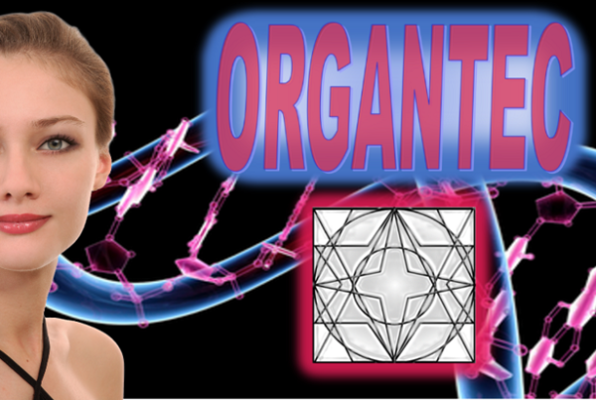 The Vault (LOK'd Room Escape) Escape Room