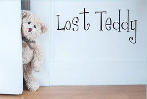Lost Teddy Lost Teddy