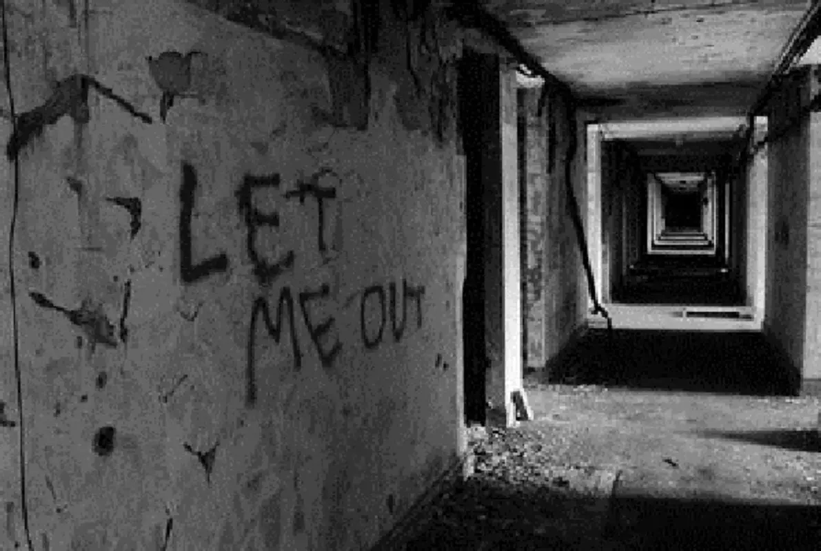 The Asylum