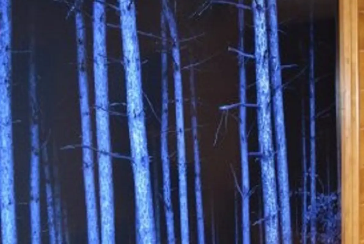 Cabin in the Woods