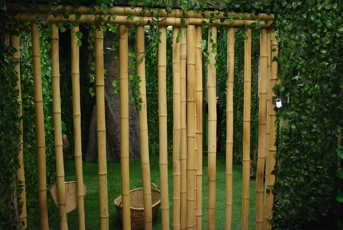 Trapped in the Amazon