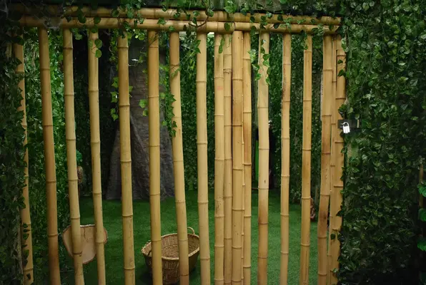 Trapped in the Amazon (Escape Denmark) Escape Room