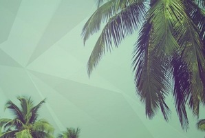 Island Escape