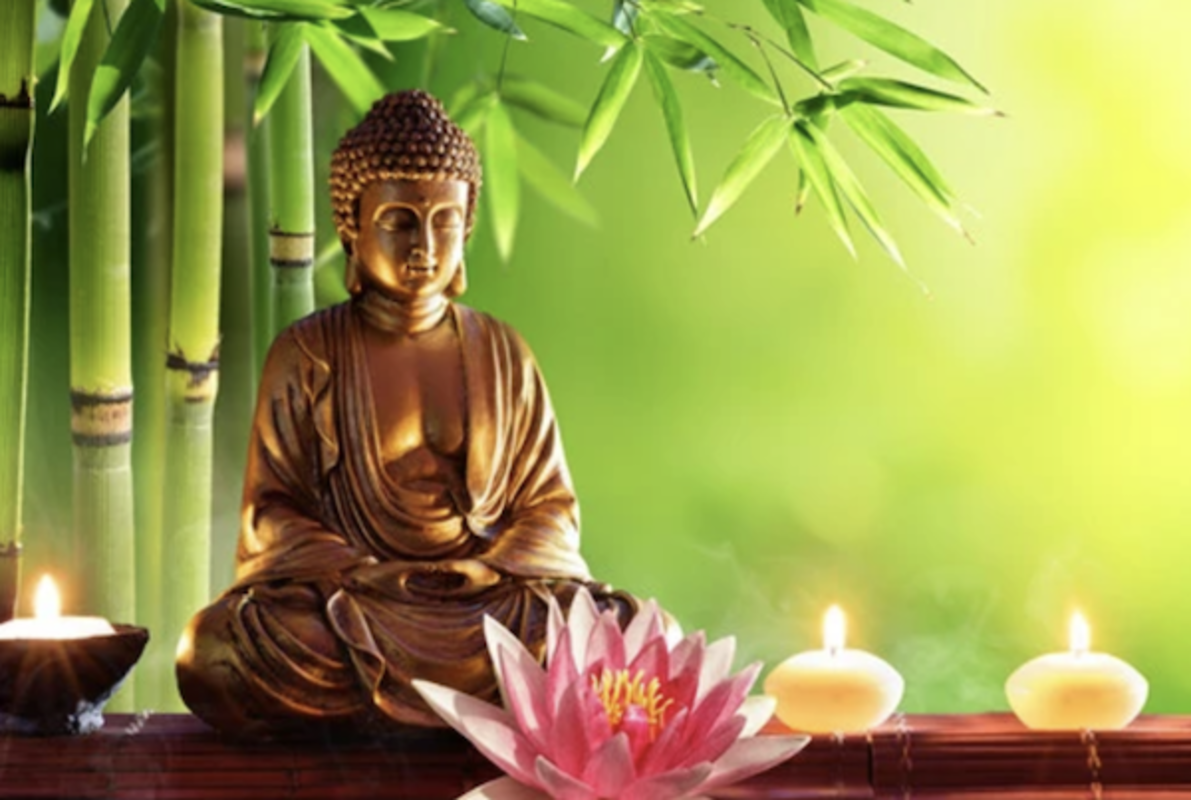 The Sacred Lotus