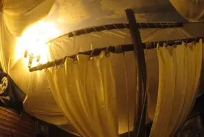 Pirates