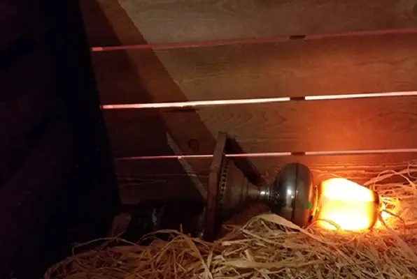 The Fire (D.O.A. Room Escape) Escape Room