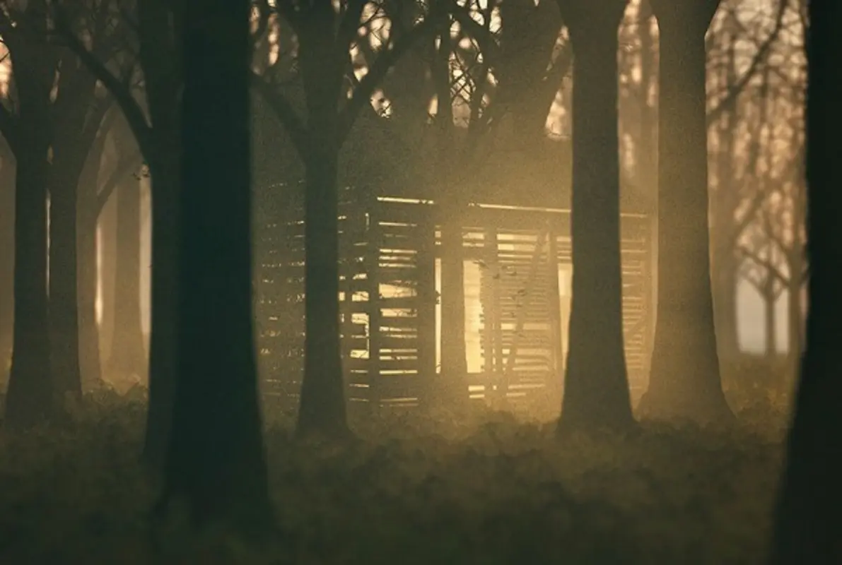 Lost Cabin