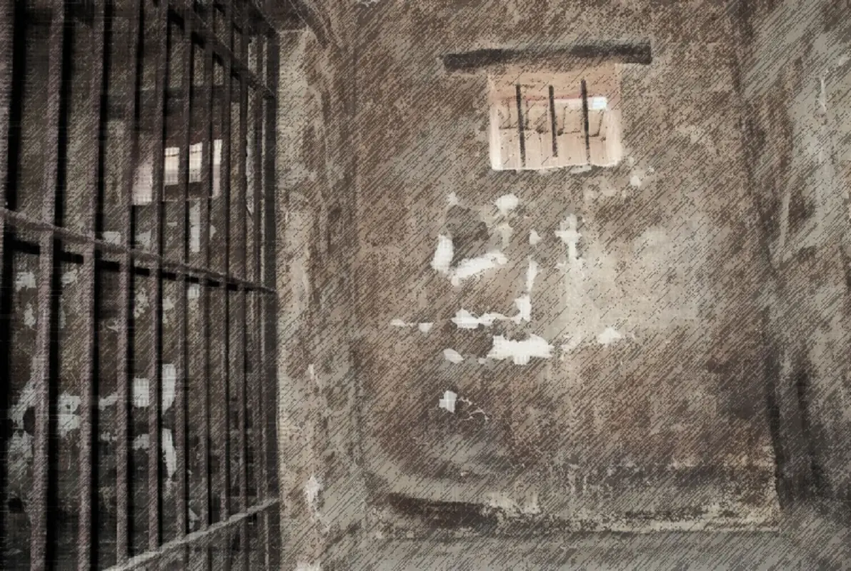 The Asylum