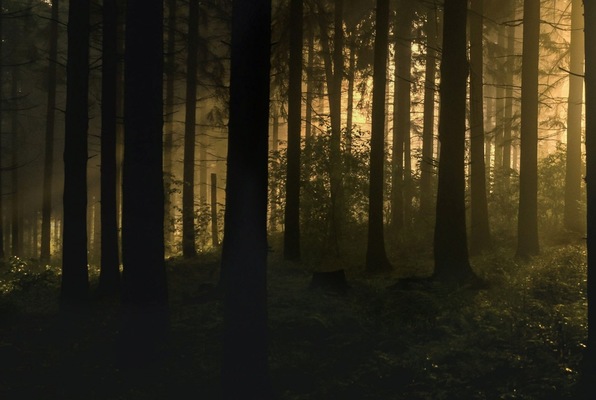 The Legend (The LOST Escape Room) Escape Room