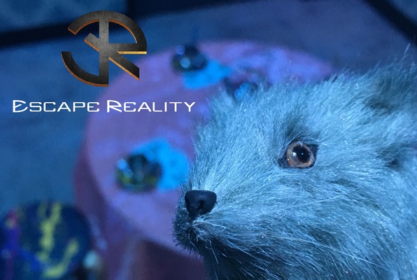 Down the Rabbit Hole (Escape Reality) Escape Room