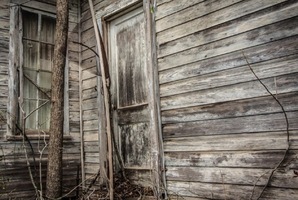 The Cabin