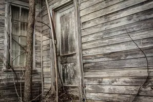 The Cabin