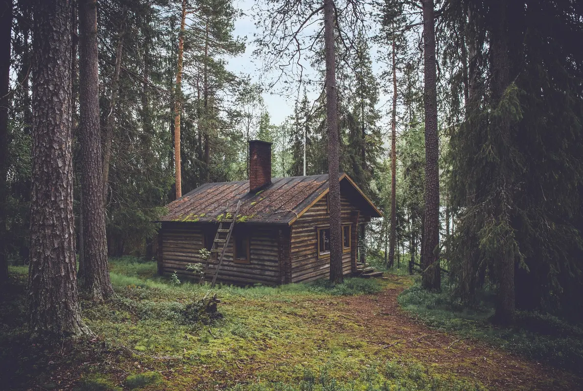 The Cabin