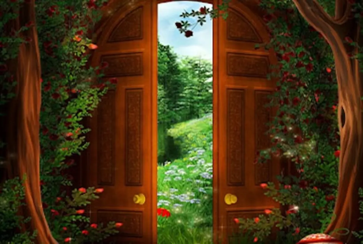 Enchanted Forest