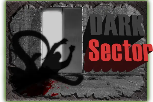 Dark Sector