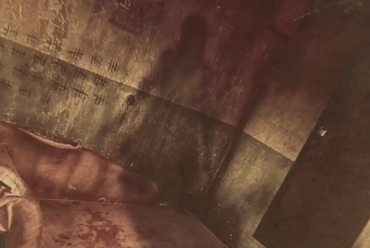 Asylum