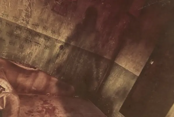 Asylum