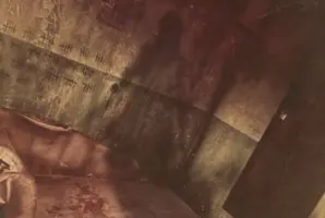 Asylum