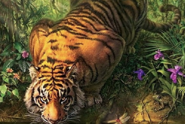 Return to Tiger Island