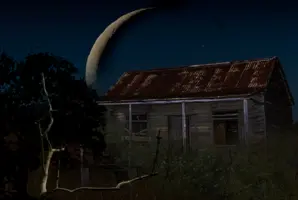 The Woods