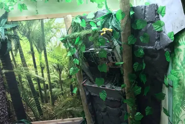 Jungle Escape (Escape Terre Haute) Escape Room