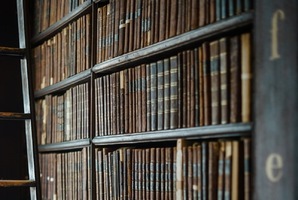 The Study