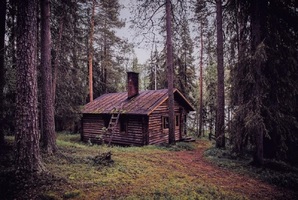 Квест The Cabin