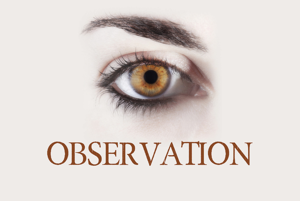 Observation (Escape Rooms HQ) Escape Room