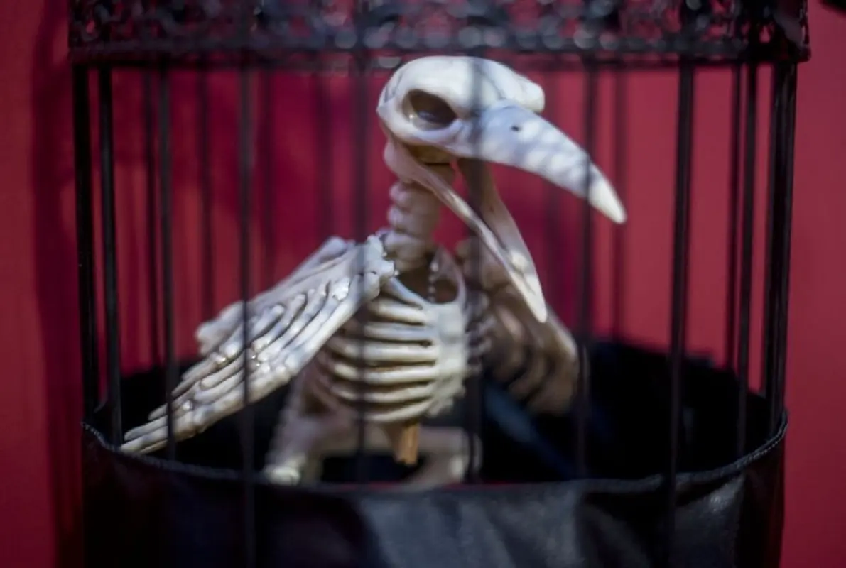 Nevermore
