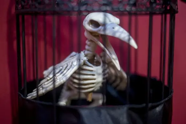 Nevermore (Paradox Point) Escape Room