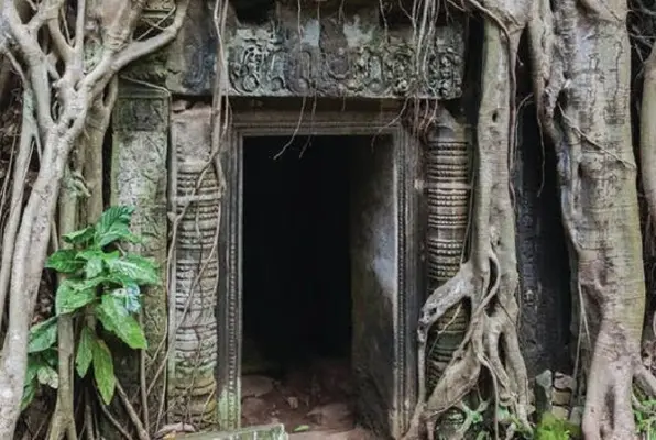 Temple Run