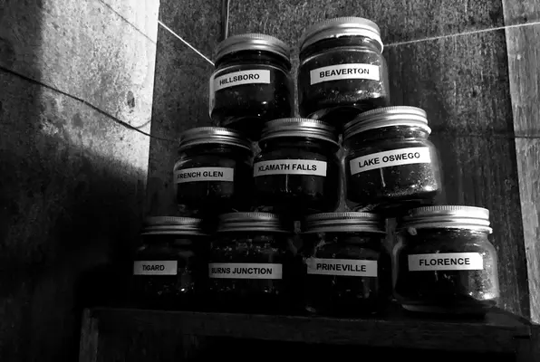 The Oregon Files (Stumptown Escape Games) Escape Room