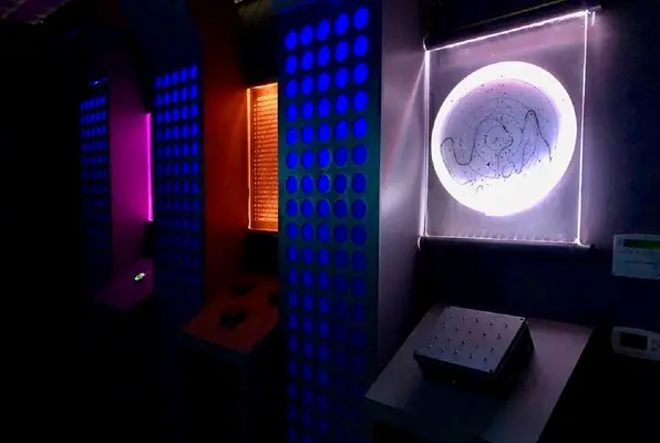 StarCrash (Stumptown Escape Games) Escape Room