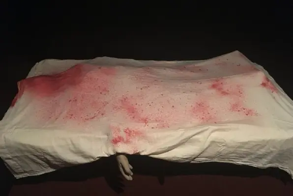 Survivors vs Survivors (Lights Out Escape Rooms) Escape Room