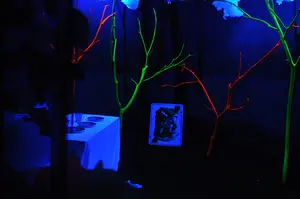 Robbery in Wonderland