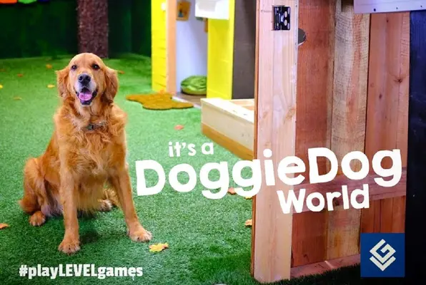 Doggy Dog World (Level Games) Escape Room
