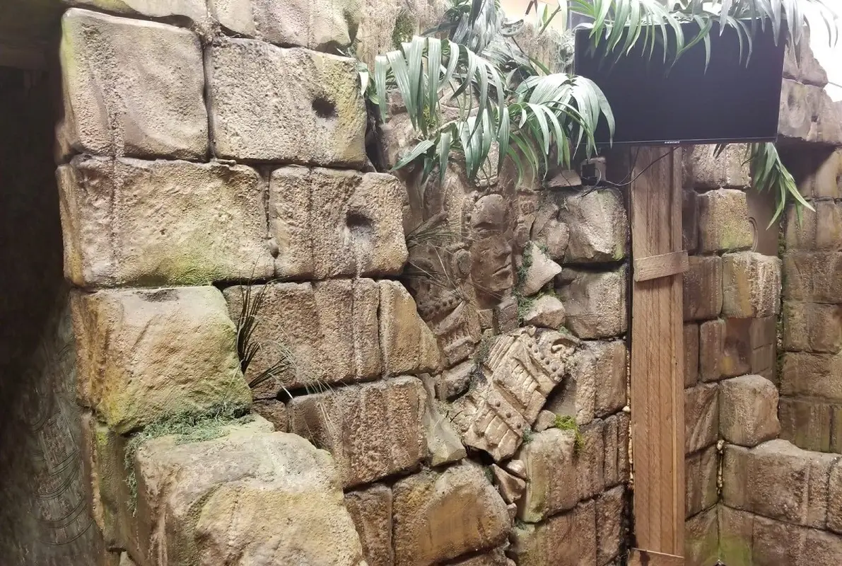 Mayan Tomb