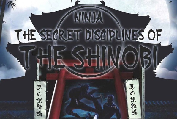 Ninja: The Secret Disciplines Of The Shinobi