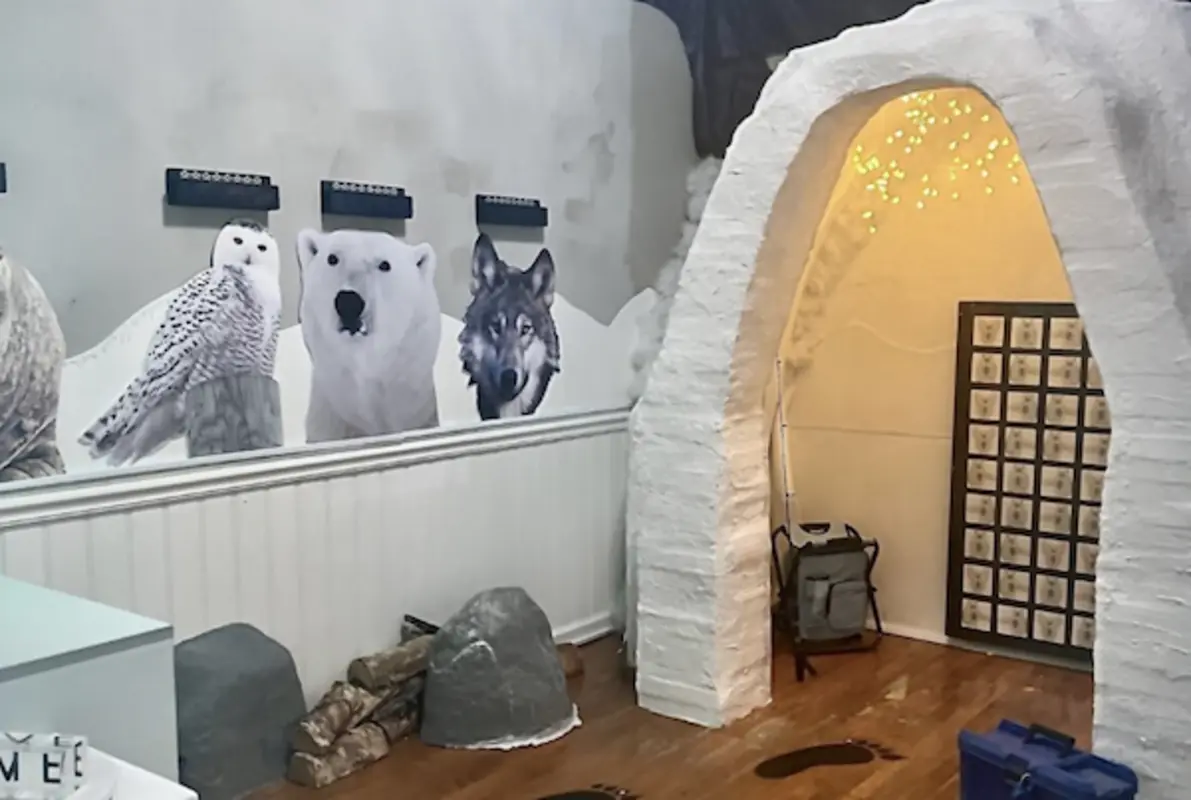 Polar Quest