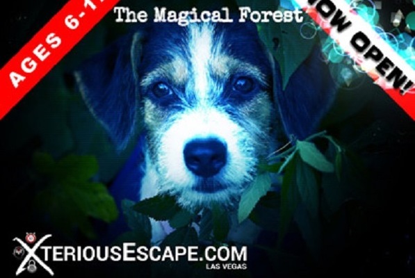 The Magical Forest (Way of Escape) Escape Room