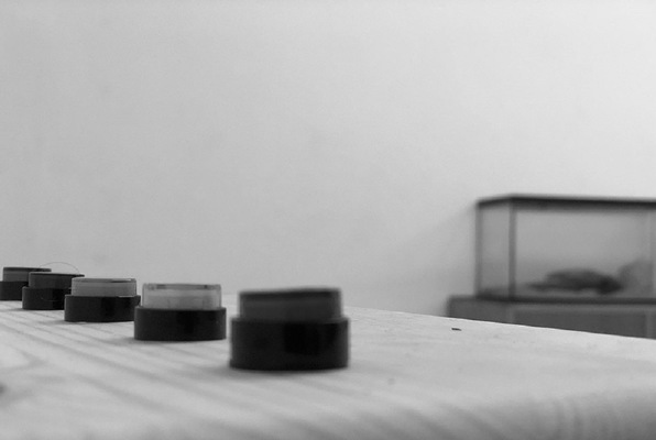 Der Gesuchte (Do[not]Escape) Escape Room