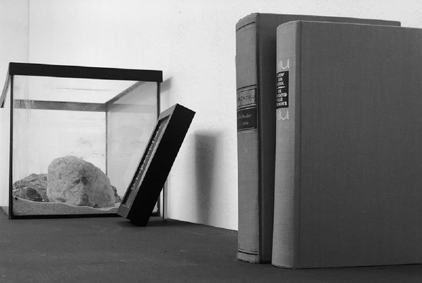 Der Gesuchte (Do[not]Escape) Escape Room