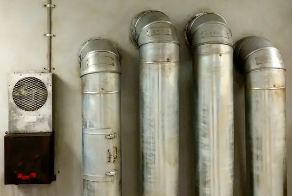The Cells