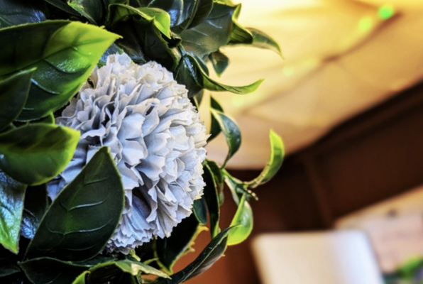 A Case of Murder and Marigolds (Salisbury Escape Rooms) Escape Room